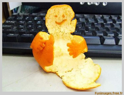 funimages image photo insolite humour orange drole fruit